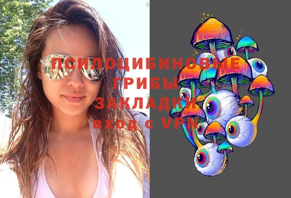 бошки Богородицк