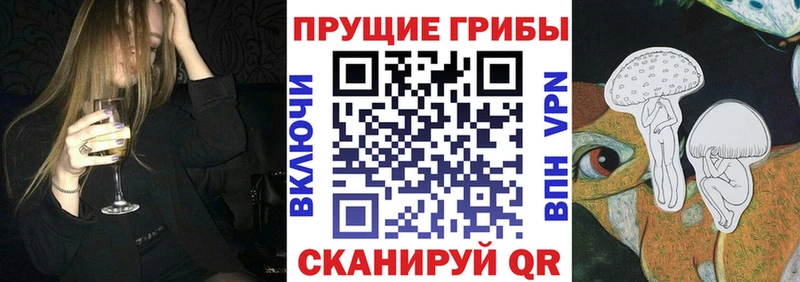 где продают   Наволоки  Галлюциногенные грибы ЛСД 